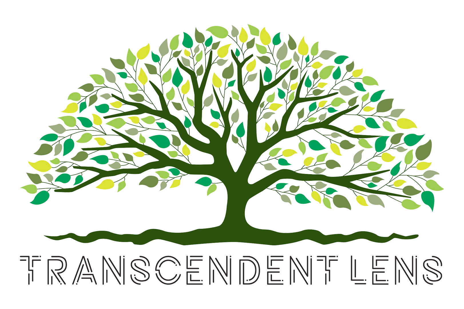 Transcendent Lens Photography Logo